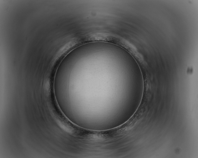 X0000101210250200807071346