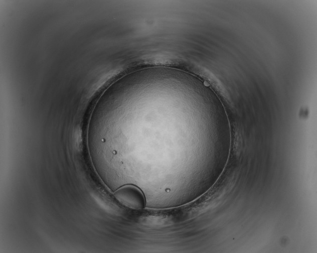 X0000101210251200807071346