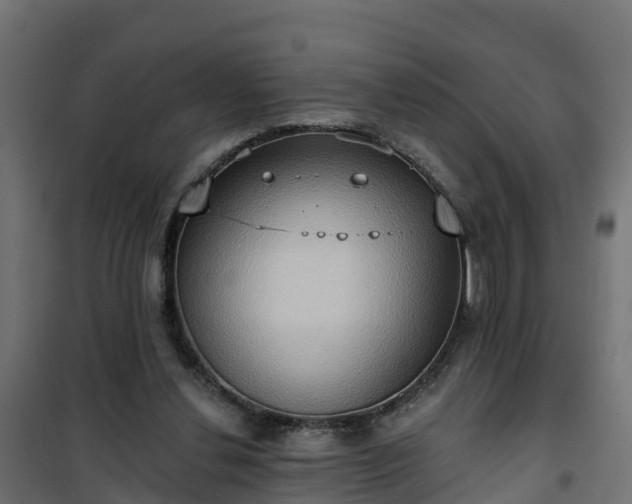 X0000101210252200807071346