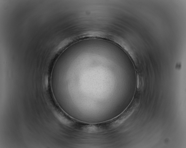 X0000101210253200807071346