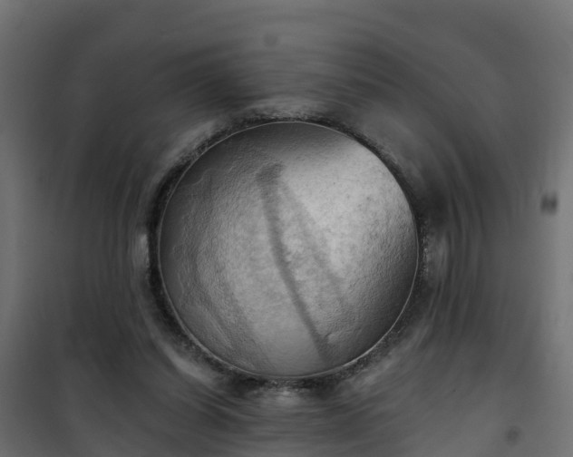 X0000101210254200807071346