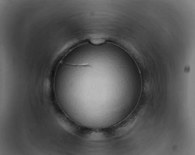 X0000101210256200807071346