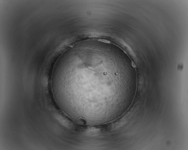 X0000101210257200807071346