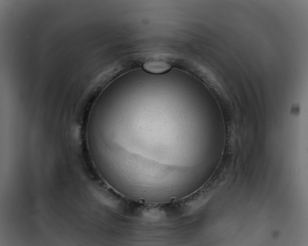 X0000101210258200807071346