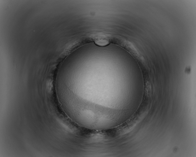 X0000101210259200807071346