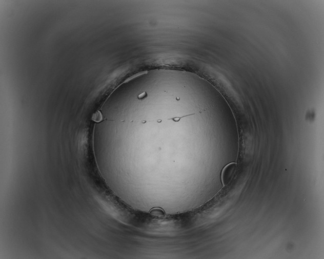 X0000101210260200807071346