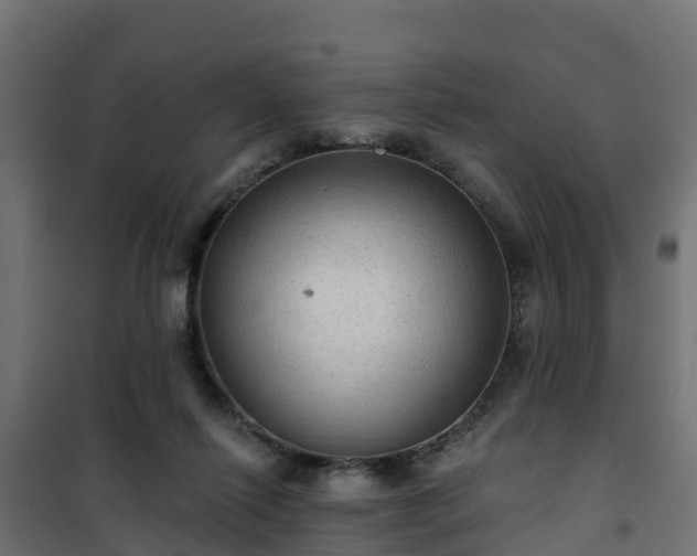 X0000101210262200807071346