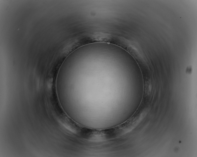 X0000101210263200807071346