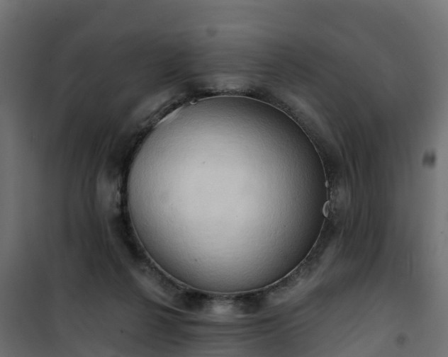 X0000101210264200807071346