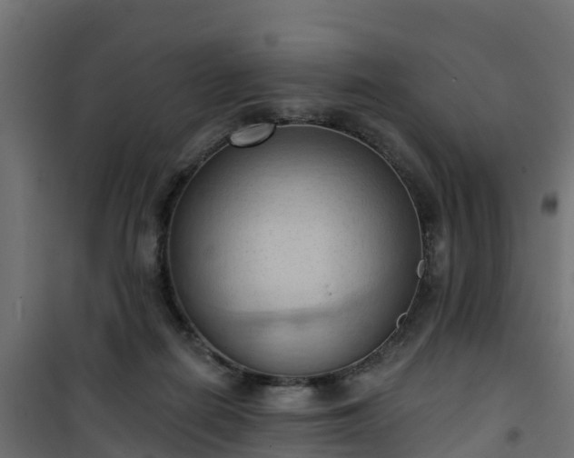 X0000101210266200807071346