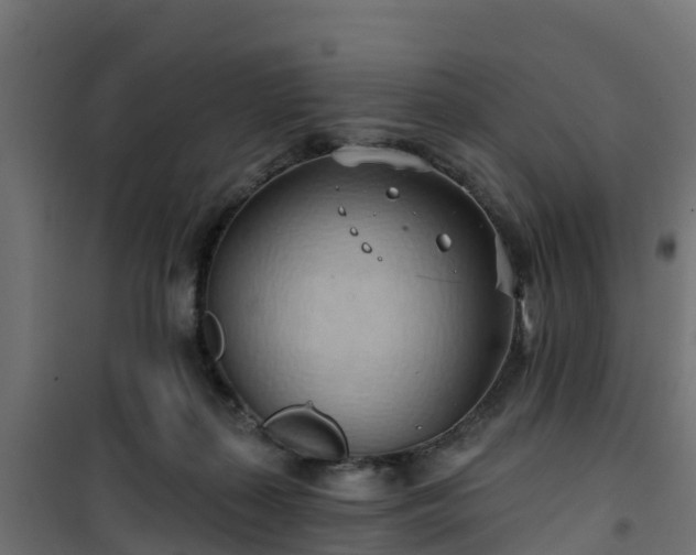 X0000101210267200807071346