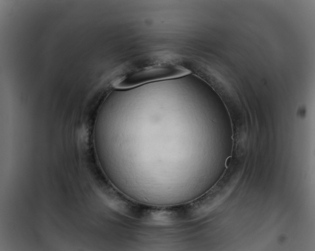 X0000101210268200807071346