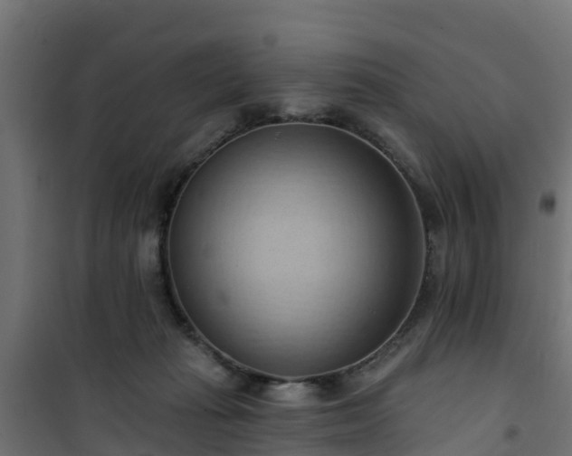 X0000101210269200807071346