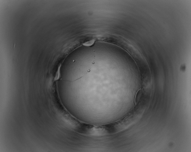 X0000101210270200807071346