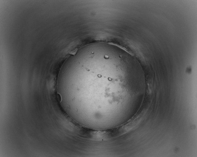 X0000101210273200807071346