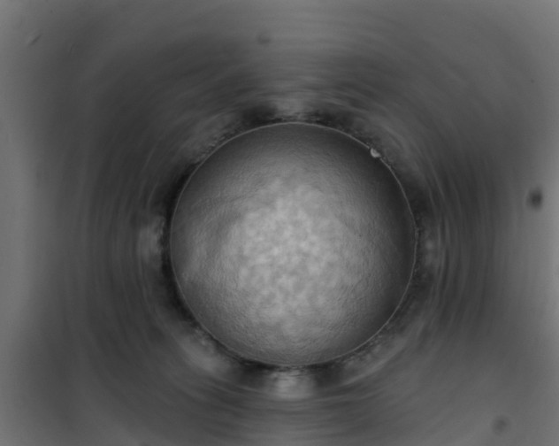 X0000101210275200807071346