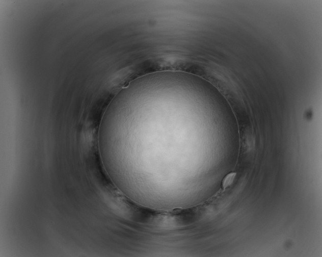 X0000101210276200807071346