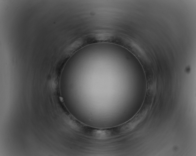 X0000101210277200807071346