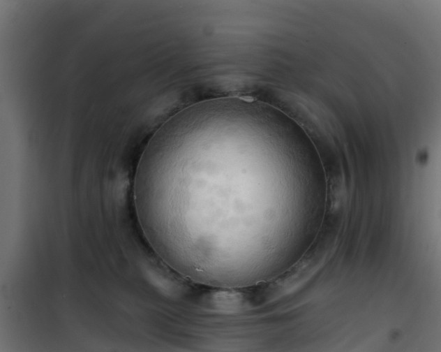 X0000101210279200807071346