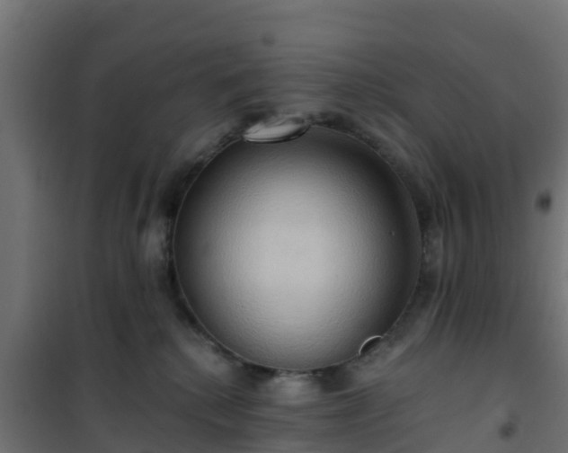 X0000101210280200807071346