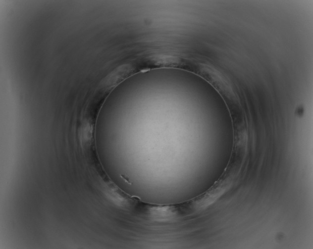 X0000101210281200807071346