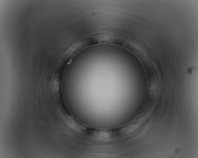 X0000101210282200807071346