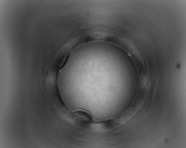 X0000101210283200807071346