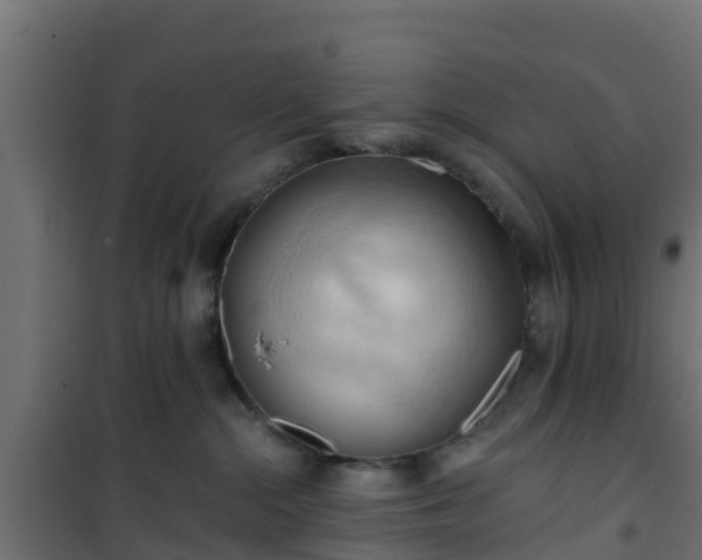 X0000101210284200807071346