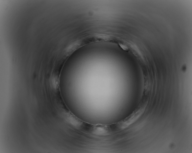 X0000101210285200807071346