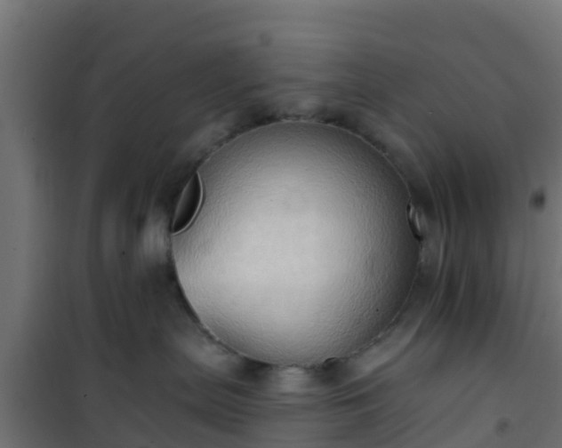 X0000101210287200807071346