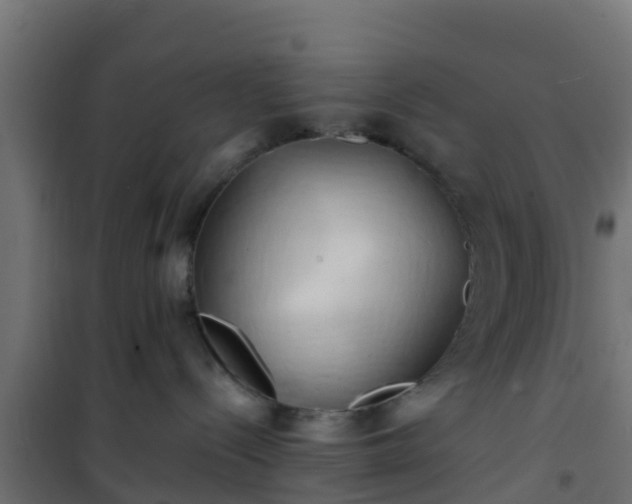 X0000101210288200807071346