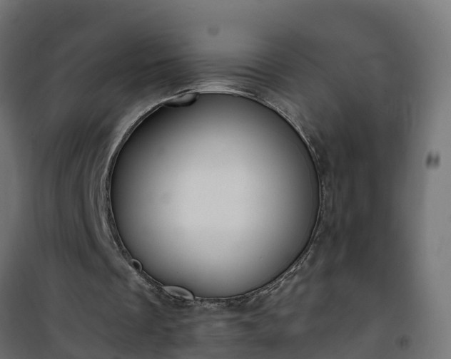 X0000101210289200807071345