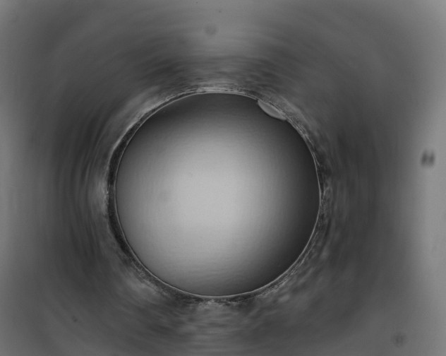 X0000101210290200807071345