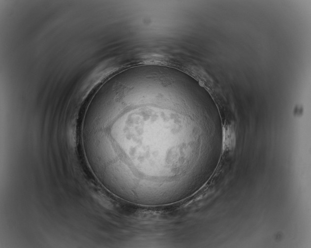 X0000101210291200807071345