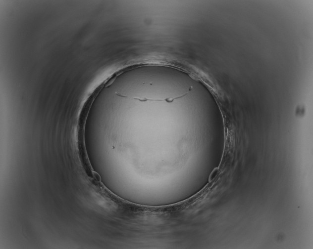 X0000101210292200807071345