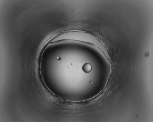 X0000101210293200807071345