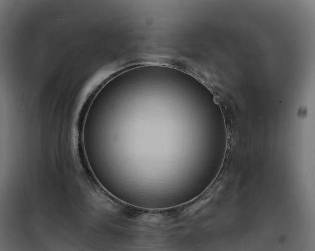 X0000101210294200807071345