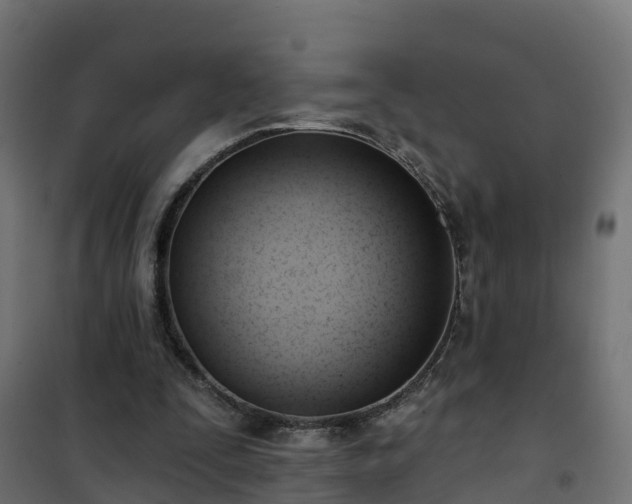 X0000101210295200807071345