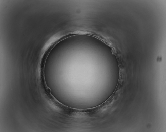 X0000101210296200807071345