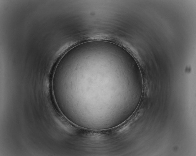 X0000101210298200807071345