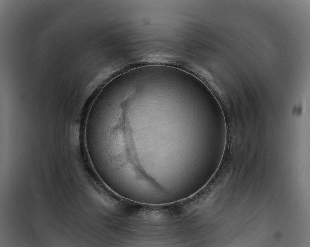 X0000101210299200807071345