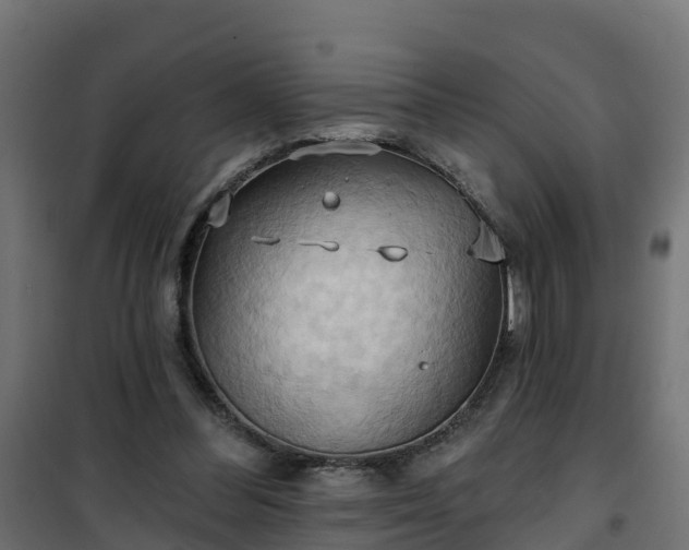 X0000101210300200807071345