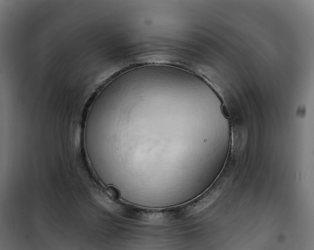 X0000101210301200807071345