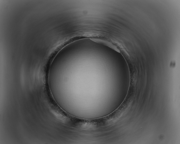 X0000101210303200807071345