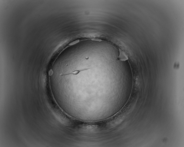 X0000101210304200807071345