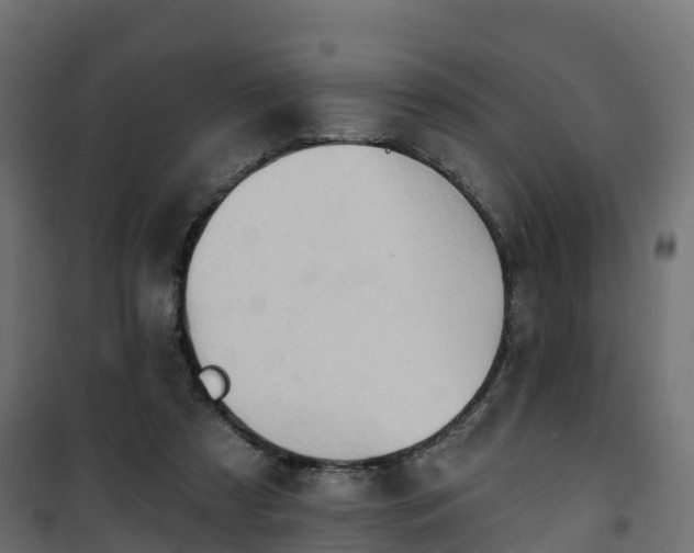 X0000101210305200807071345