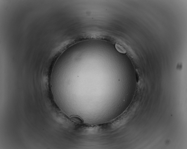 X0000101210306200807071345