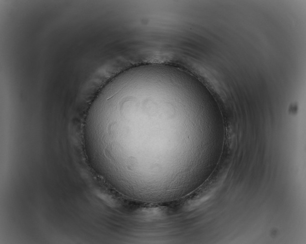 X0000101210307200807071345