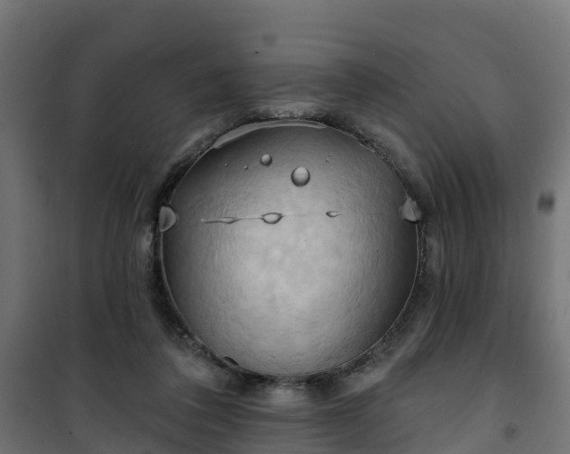 X0000101210308200807071345