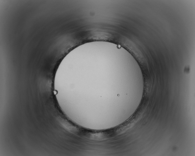 X0000101210309200807071345